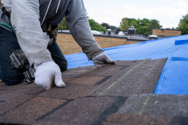Best Gutter Installation and Roofing  in Hasbrouck Heights, NJ